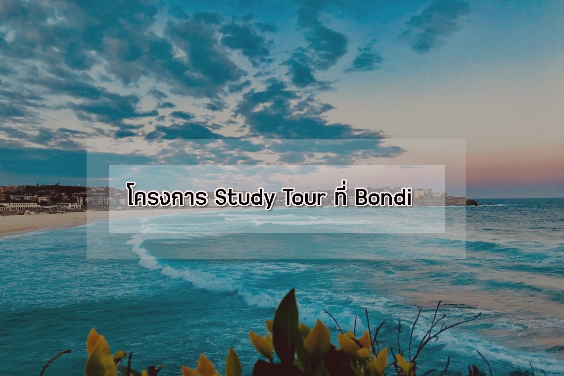 โครงการ Study Tour ที่ Bondi