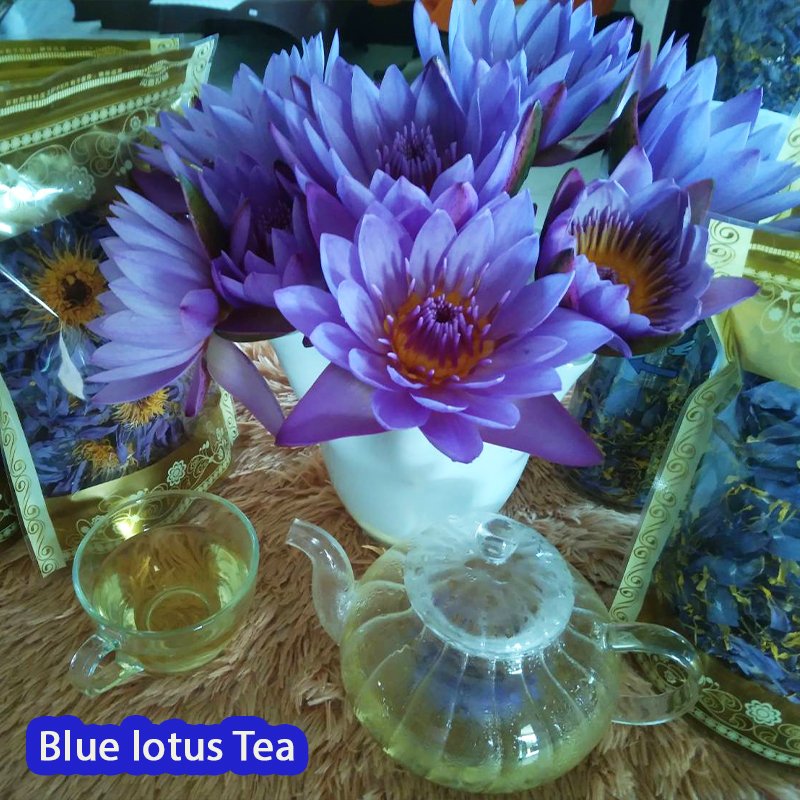 Blue lotus Tea 50g. nanathaisouq