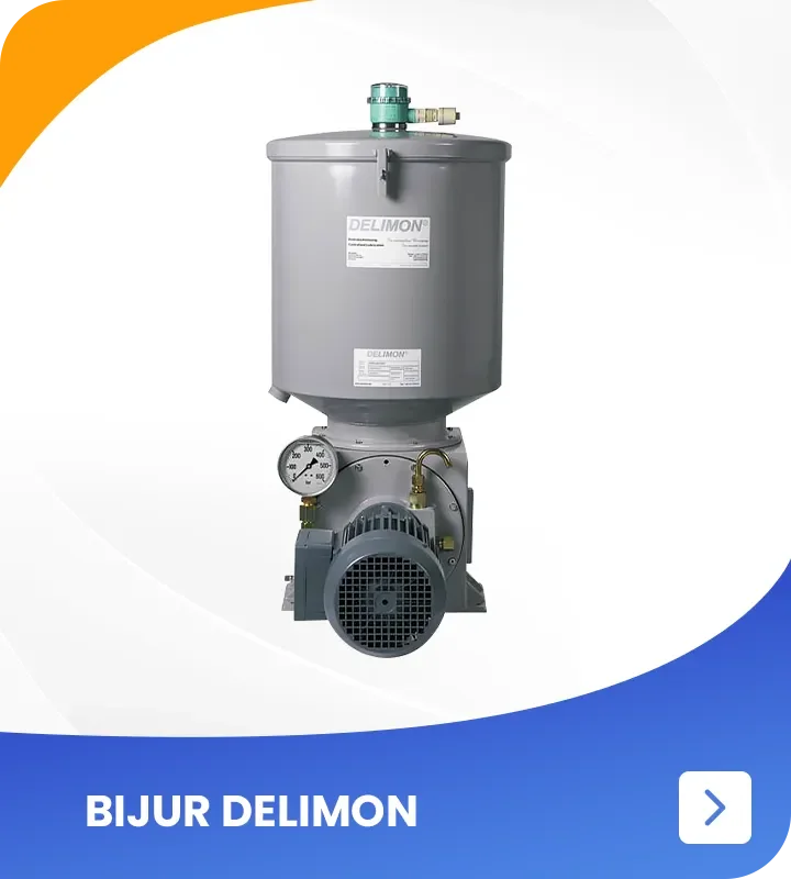 BIJUR DELIMON