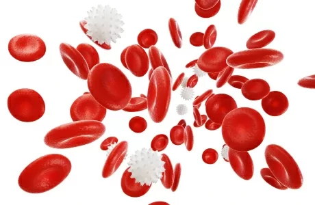 red-white-blood-cells-vein-medicine-science-concept-d-render-illustration_[ขนาดดั้งเดิม].webp