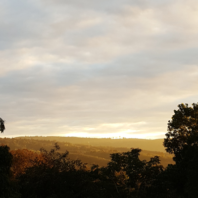 สภาวธรรม สภาวธรรม