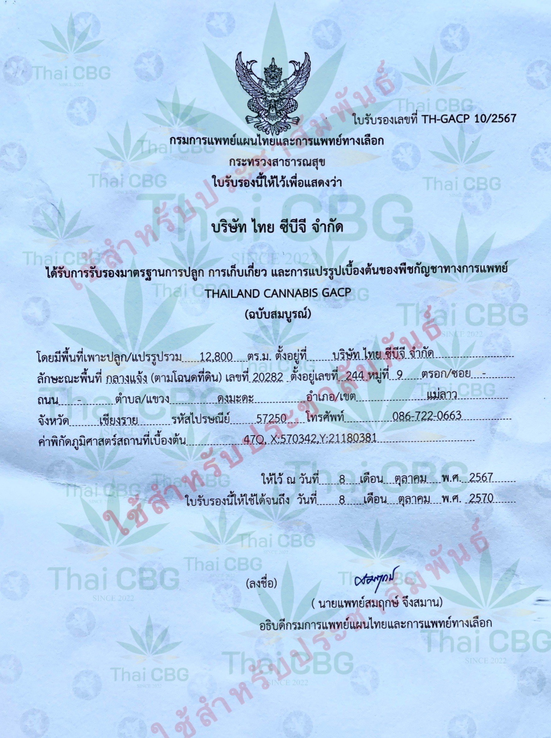 บริษัทไทย ซีบีจี  จำกัด ได้รับมาตรฐาน Thailand cannabis GACP จากกรมการแพทย์แผนไทยและการแพทย์ทางเลือก กระทรวงสาธารณสุข