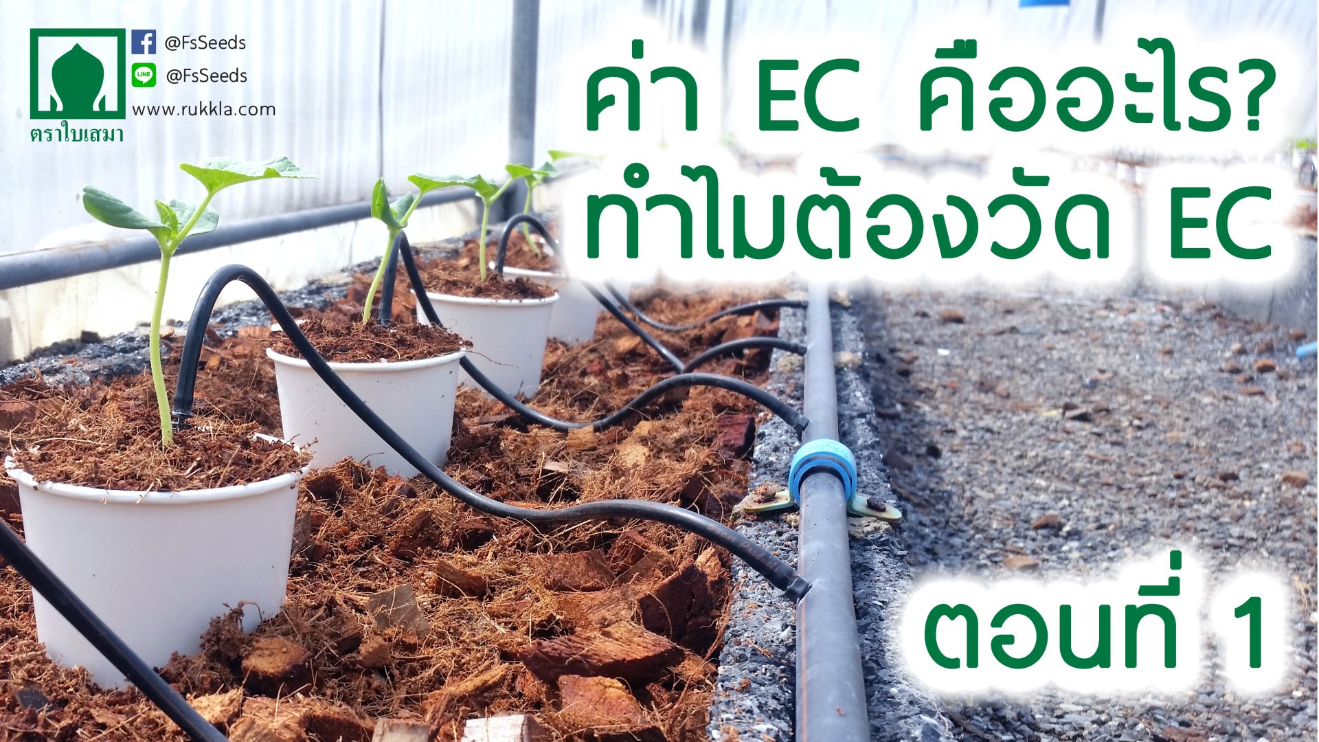 ค่า EC คืออะไร สำคัญอย่างไร? ค่า EC คืออะไร สำคัญอย่างไร?