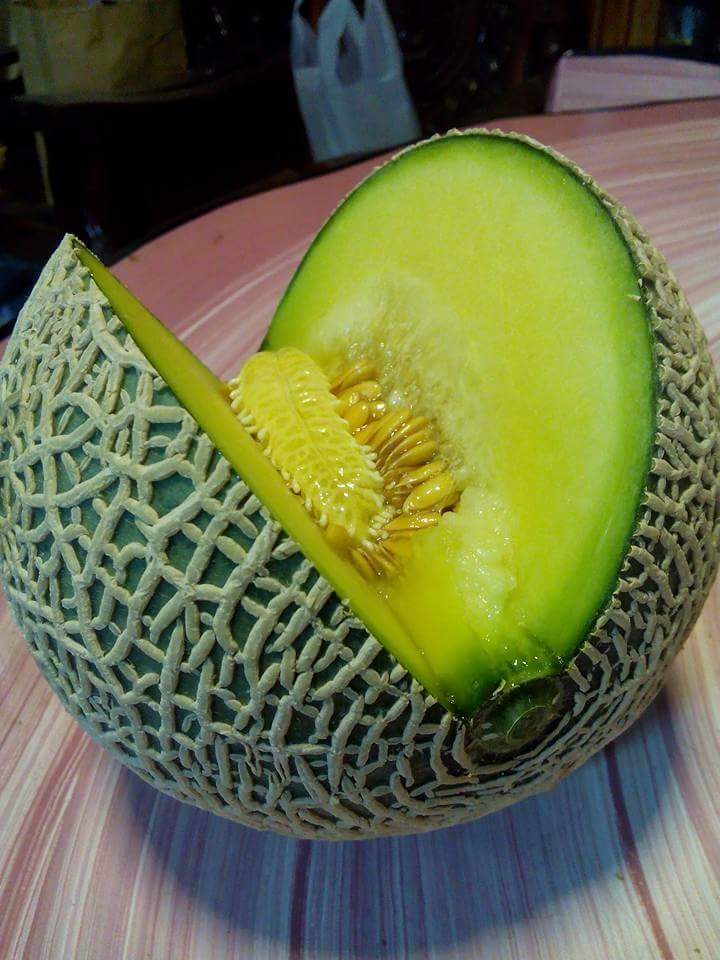 เมล่อนญี่ปุ่นมีเรื่องราวมากกว่าที่คิด เมล่อนญี่ปุ่นมีเรื่องราวมากกว่าที่คิด