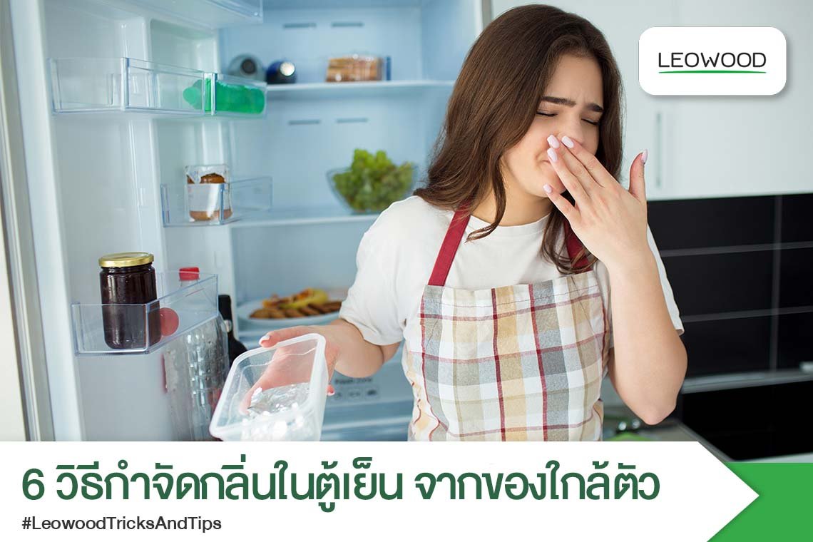 6วิธีกำจัดกลิ่นในตู้เย็นจากของใกล้ตัว