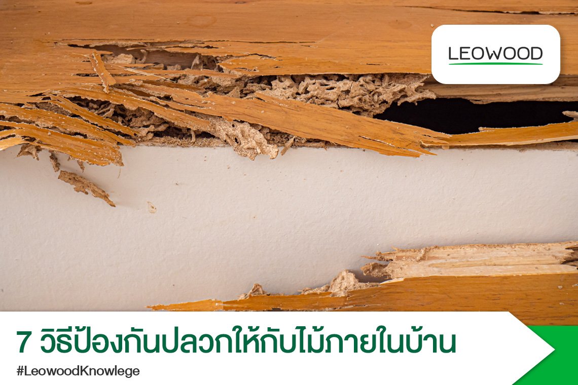 7 วิธีป้องกันปลวกให้กับไม้ภายในบ้าน