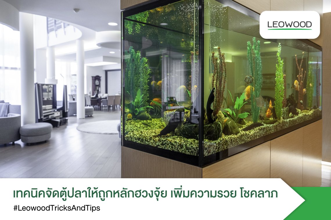 เทคนิคจัดตู้ปลาให้ถูกหลักฮวงจุ้ยเพิ่มความรวยโชคลาภ
