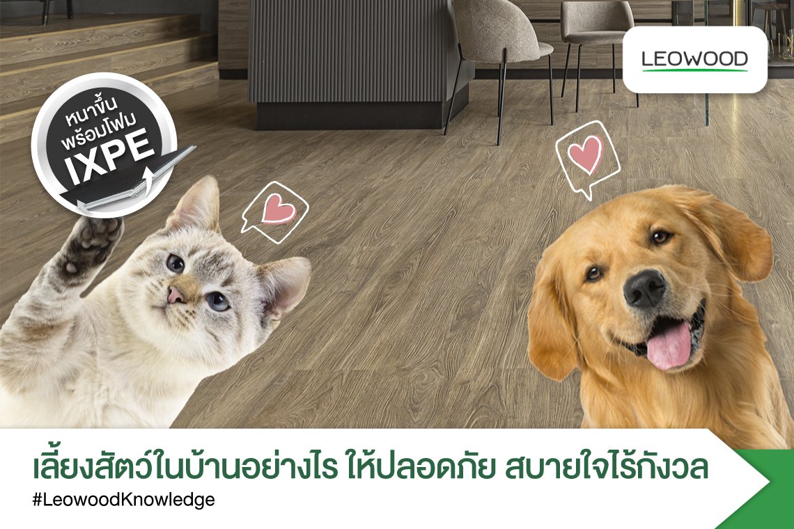 เลี้ยงสัตว์ในบ้านอย่างไรให้ปลอดภัยสบายใจไร้กังวล