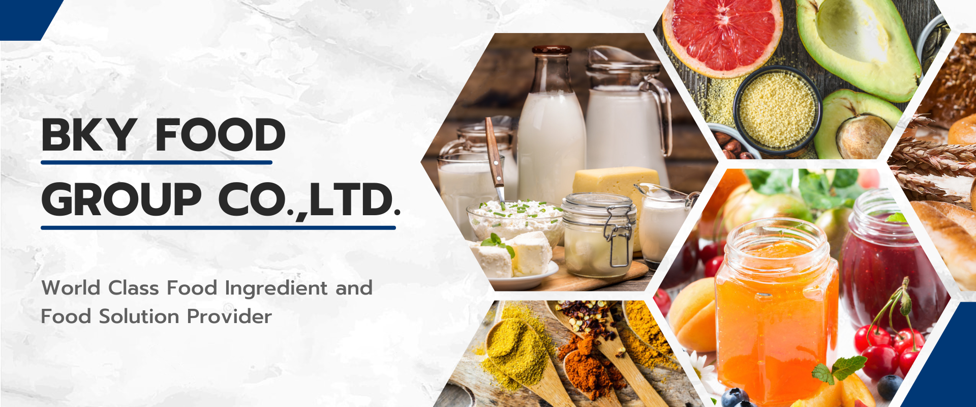 Food Ingredient and Food Solution Provider BKY Food Group