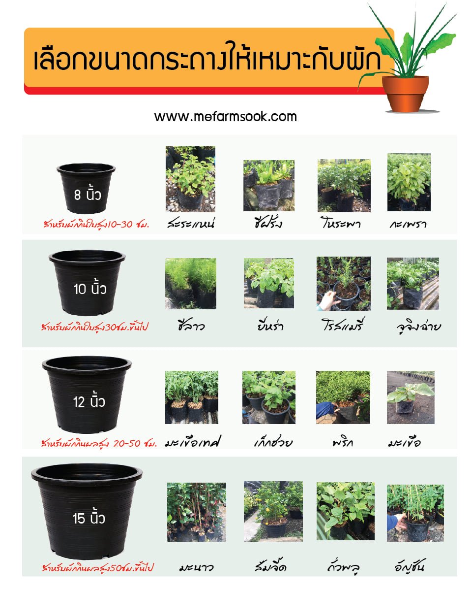 วิธีเลือกกระถางต้นไม้ให้เหมาะสม วิธีเลือกกระถางต้นไม้ให้เหมาะสม