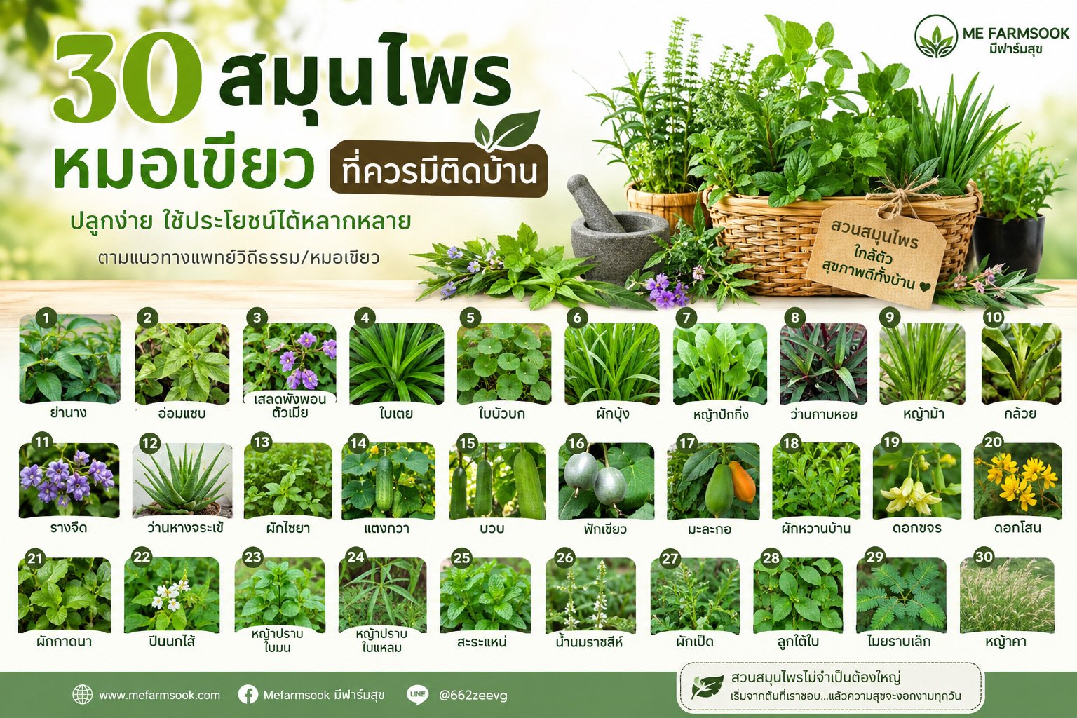 30สมุนไพรหมอเขียว