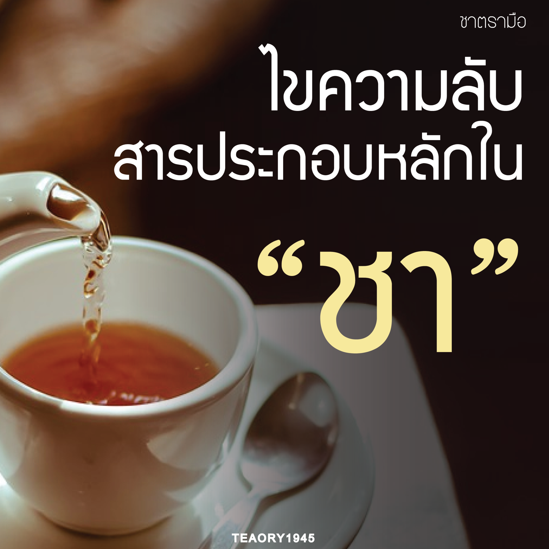 ไขความลับสารประกอบหลักใน “ชา” ไขความลับสารประกอบหลักใน “ชา”