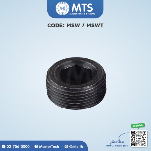 Screw Plugs ปลั๊กอุด (MSW)