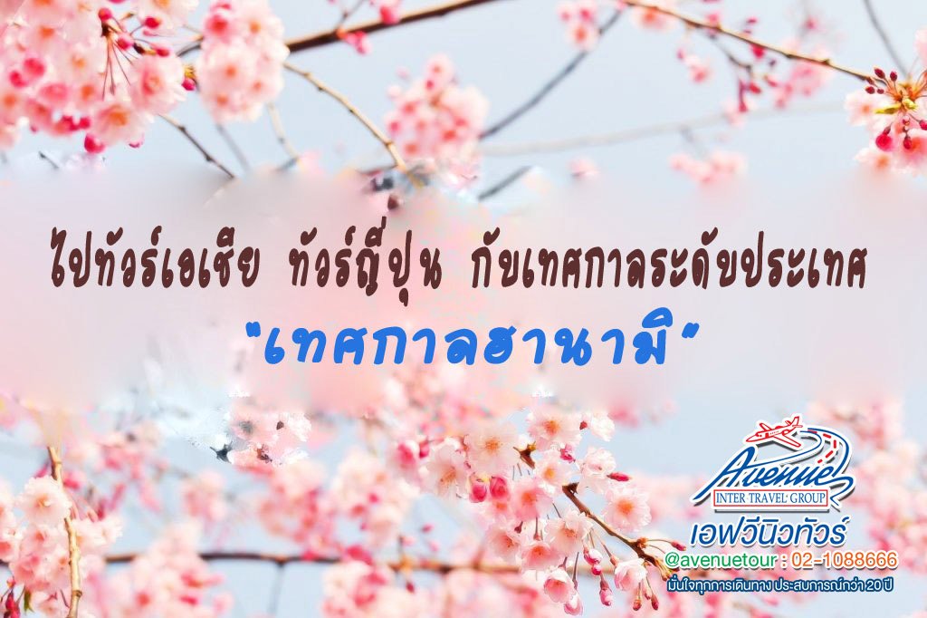 ไปทัวร์เอเชีย เที่ยวญี่ปุ่นกับเทศกาลระดับประเทศ "เทศกาลฮานามิ " ชมซากุระฤดูใบไม้ผลิ
