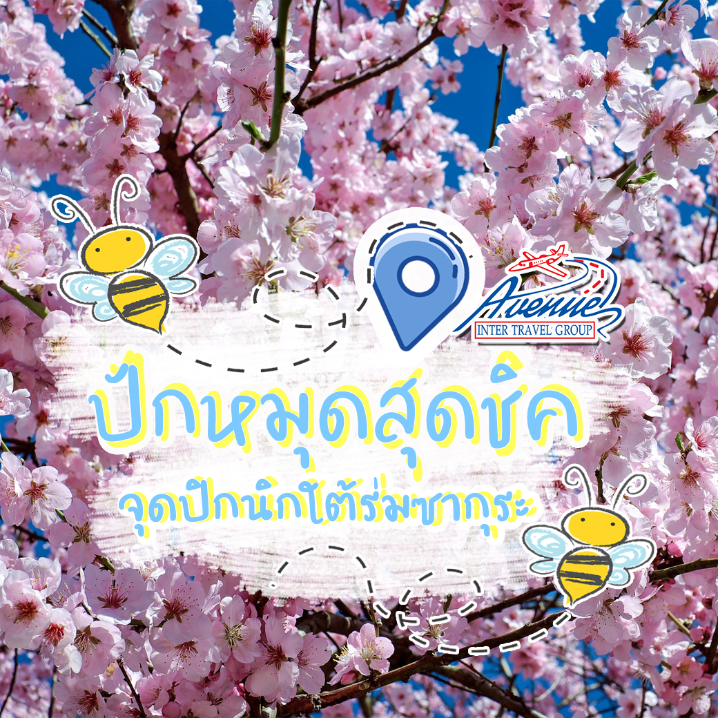 ทัวร์ญี่ปุ่น ปักหมุดสุดชิค จุดปิกนิกใต้ร่มซากุระ