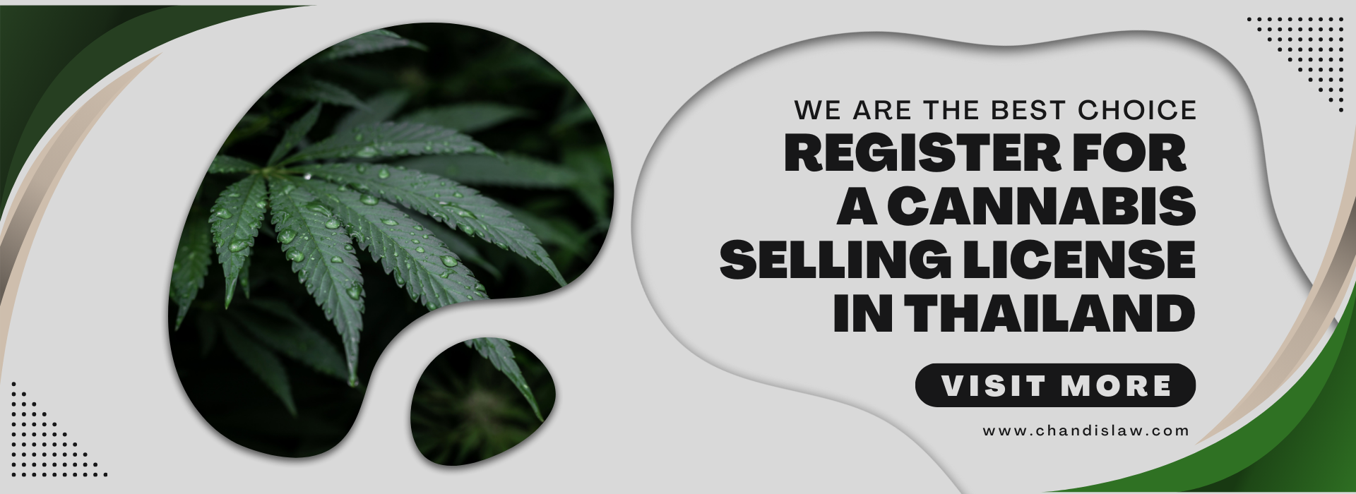 selling cannabis license in Thailand