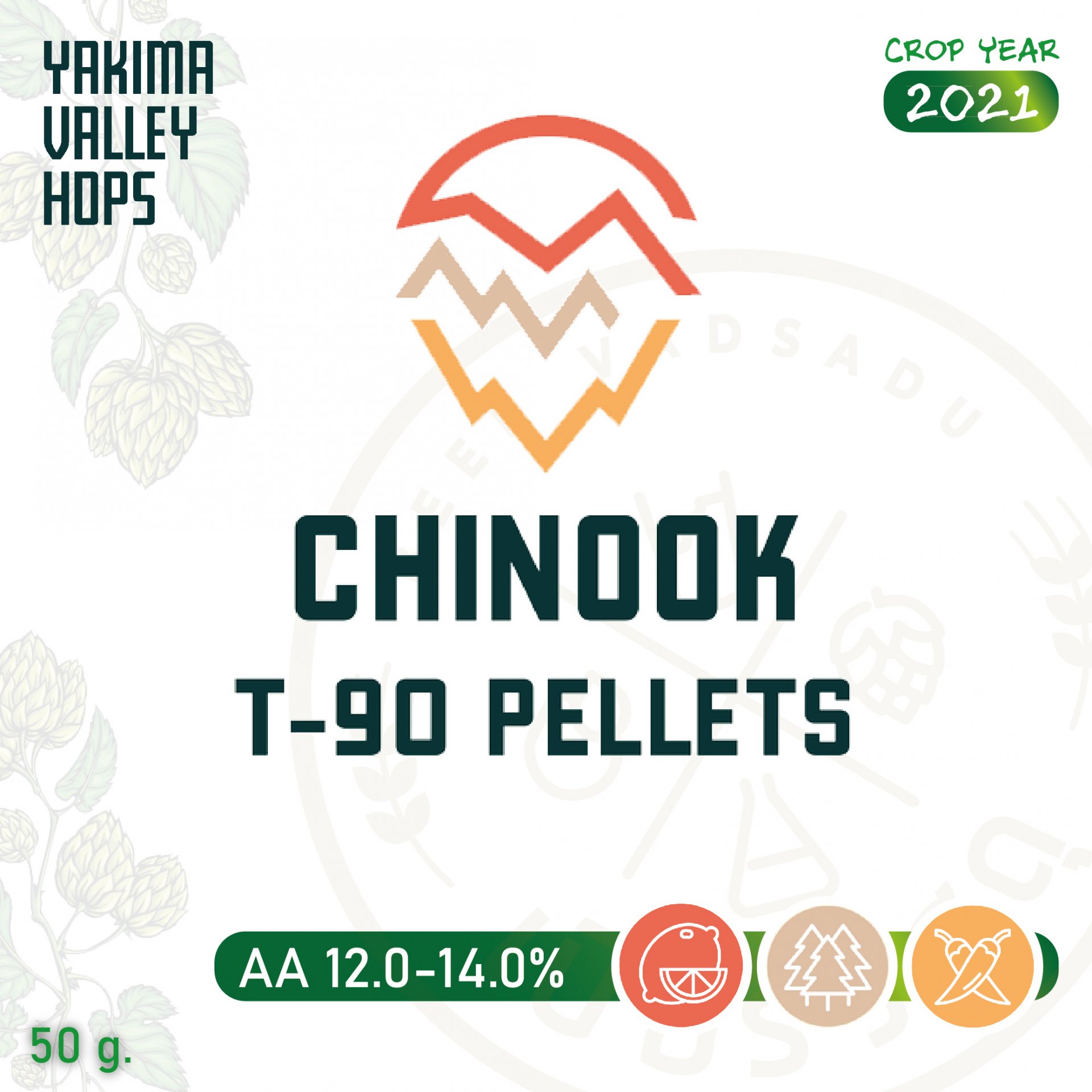 ฮอปทำเบียร์ Chinook Hops (50g)