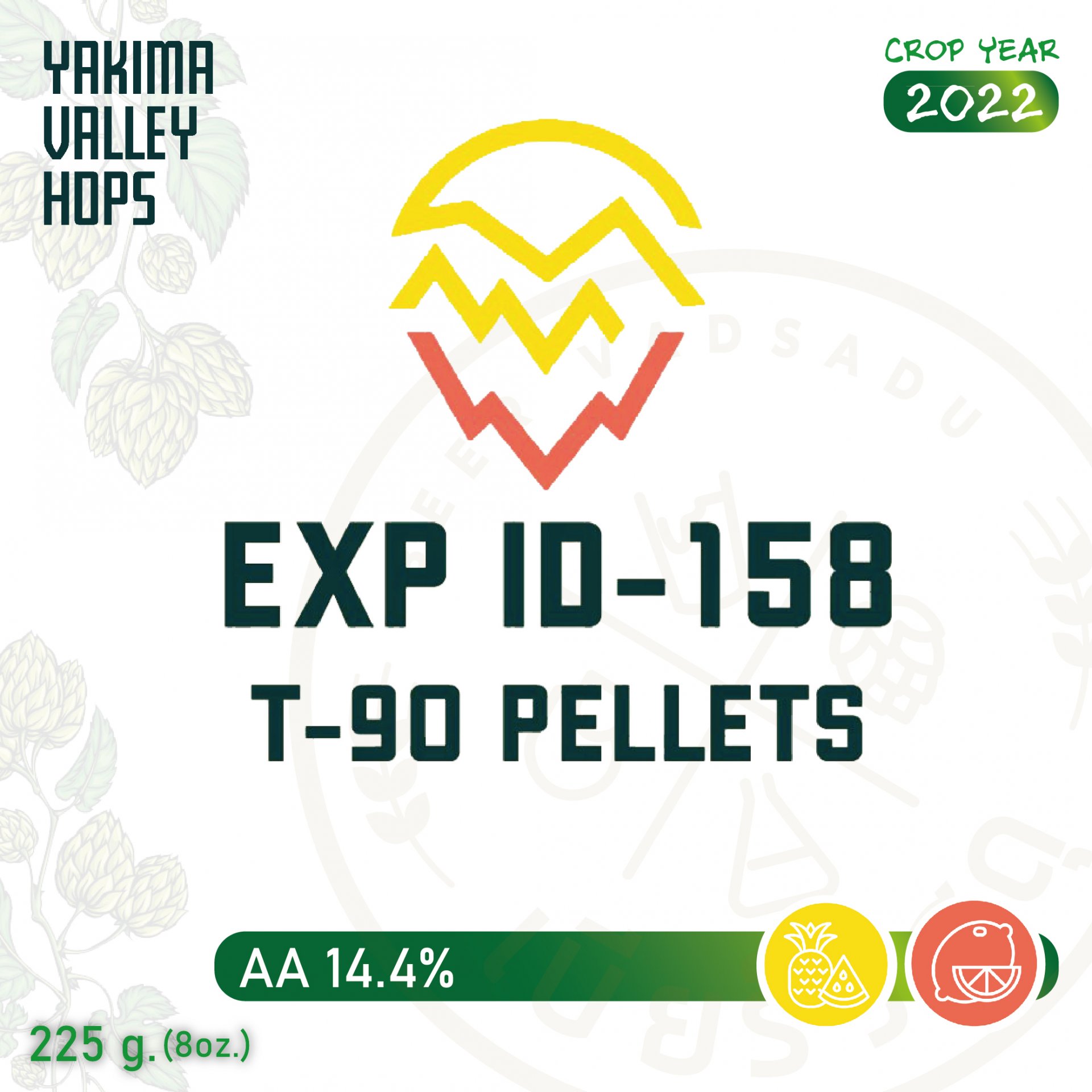 ฮอปทำเบียร์ Experimental ID-158 Hops (8 oz)