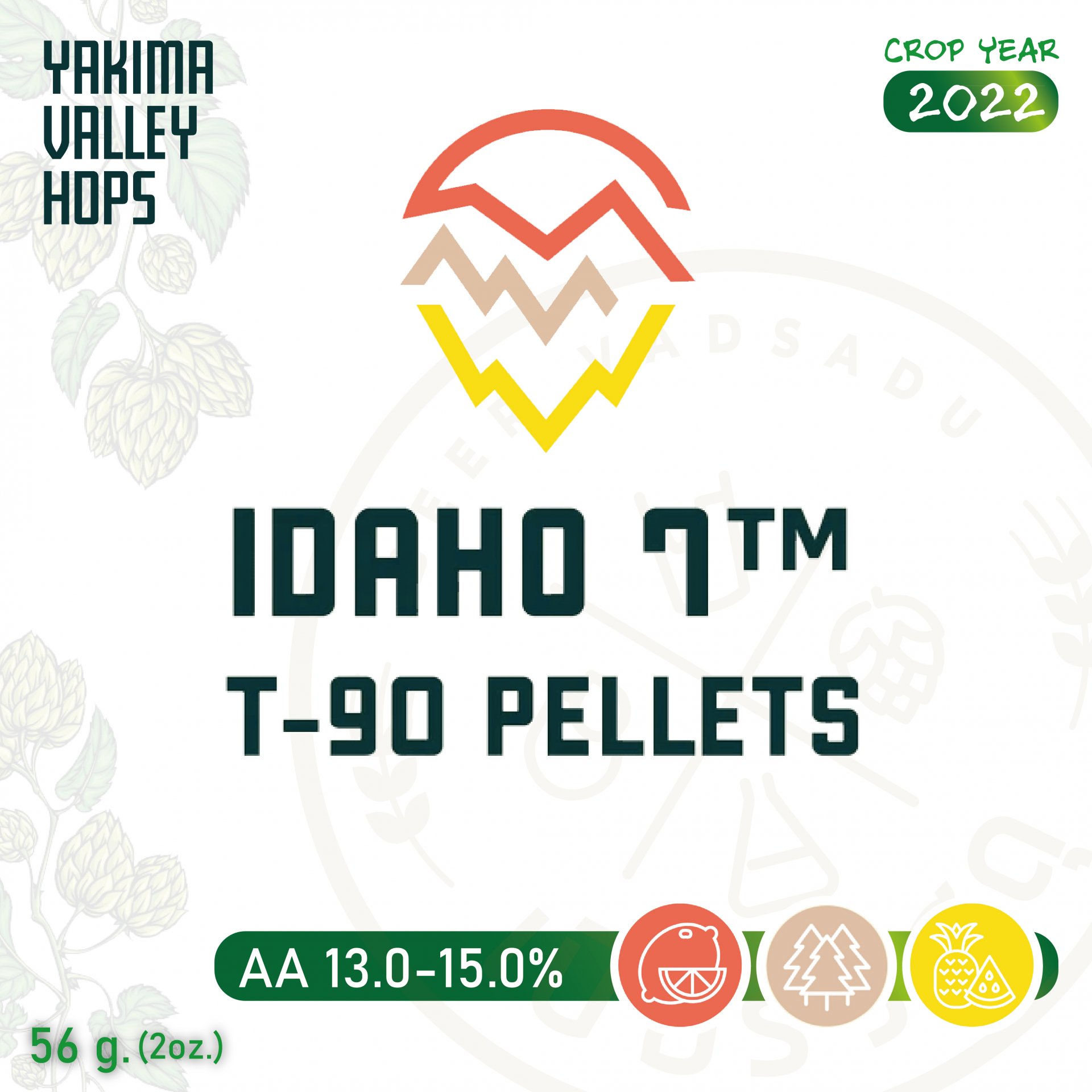 ฮอปทำเบียร์ Idaho 7 (2 oz)