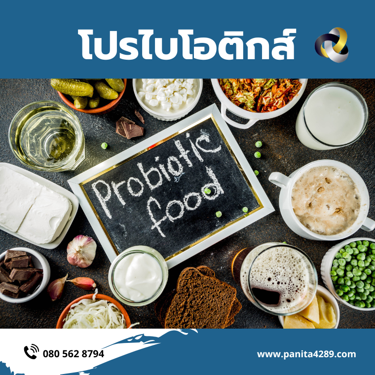 โปรไบโอติกส์