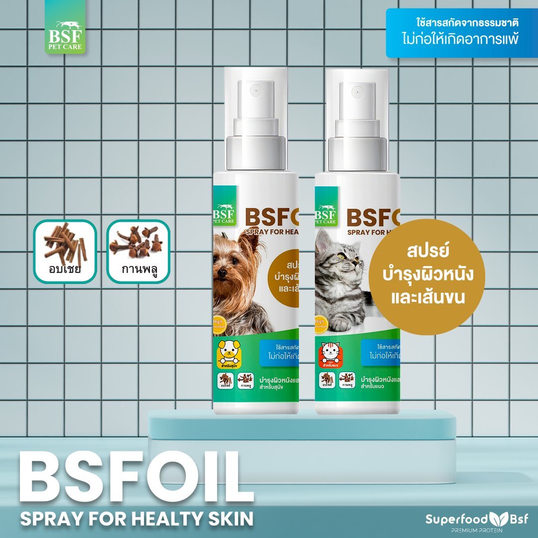 สเปรย์น้ำมัน BSF เพื่อผิวสุขภาพดี