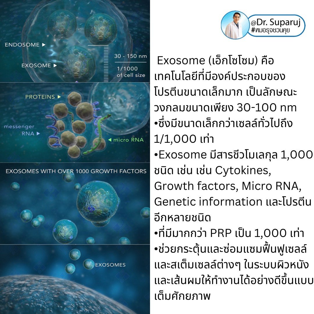 Exosome (เอ็กโซโซม) คืออะไร? & ช่วยเรื่องปัญหาผิวหนังได้อย่างไรบ้าง? Exosome (เอ็กโซโซม) คืออะไร? & ช่วยเรื่องปัญหาผิวหนังได้อย่างไรบ้าง?