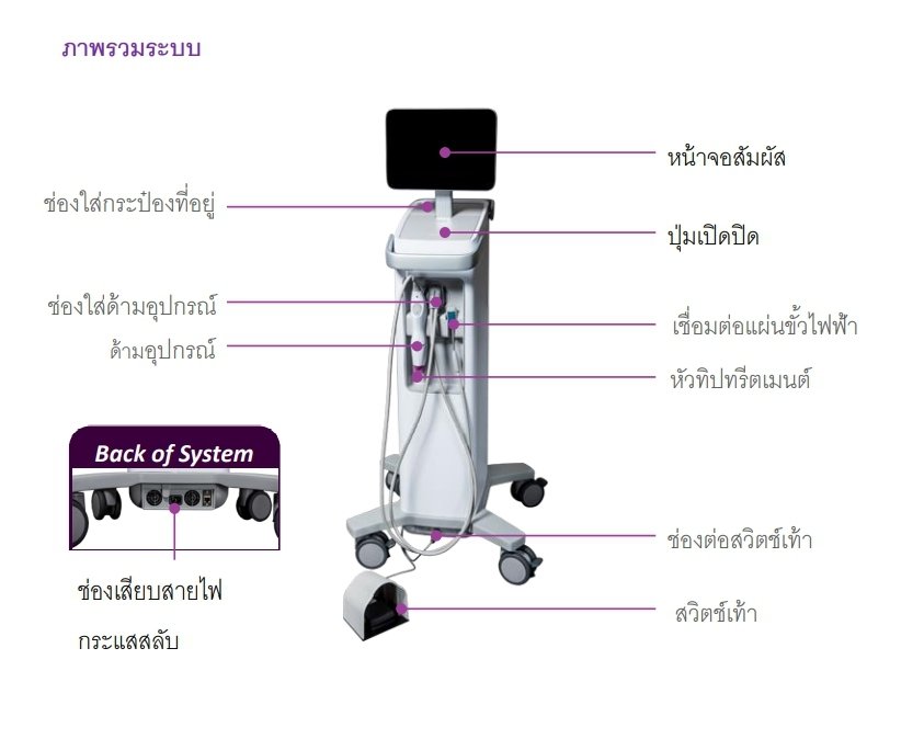 Thermage FLX Body Tip