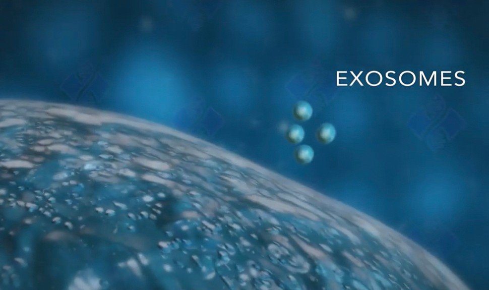 Exosome (เอ็กโซโซม) นวัตกรรมดูแลปัญหาผิว ฝ้า ผมร่วงผมบาง คืออะไรช่วยอะไรได้บ้าง ? (Update from IMCAS) Exosome (เอ็กโซโซม) นวัตกรรมดูแลปัญหาผิว ฝ้า ผมร่วงผมบาง คืออะไรช่วยอะไรได้บ้าง ? (Update from IMCAS)