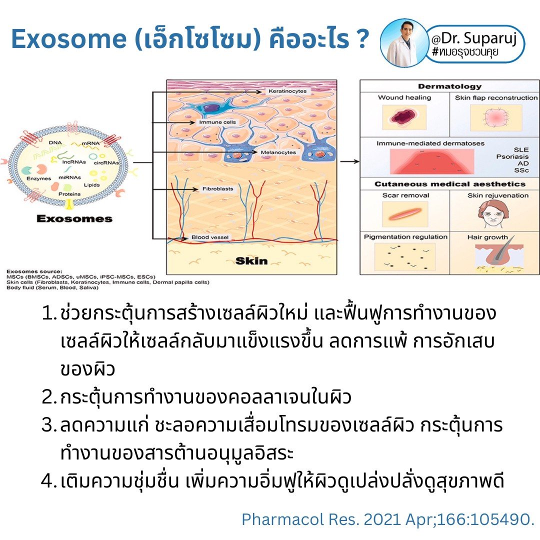 Exosome (เอ็กโซโซม) คืออะไร? & ช่วยเรื่องปัญหาผิวหนังได้อย่างไรบ้าง? Exosome (เอ็กโซโซม) คืออะไร? & ช่วยเรื่องปัญหาผิวหนังได้อย่างไรบ้าง?