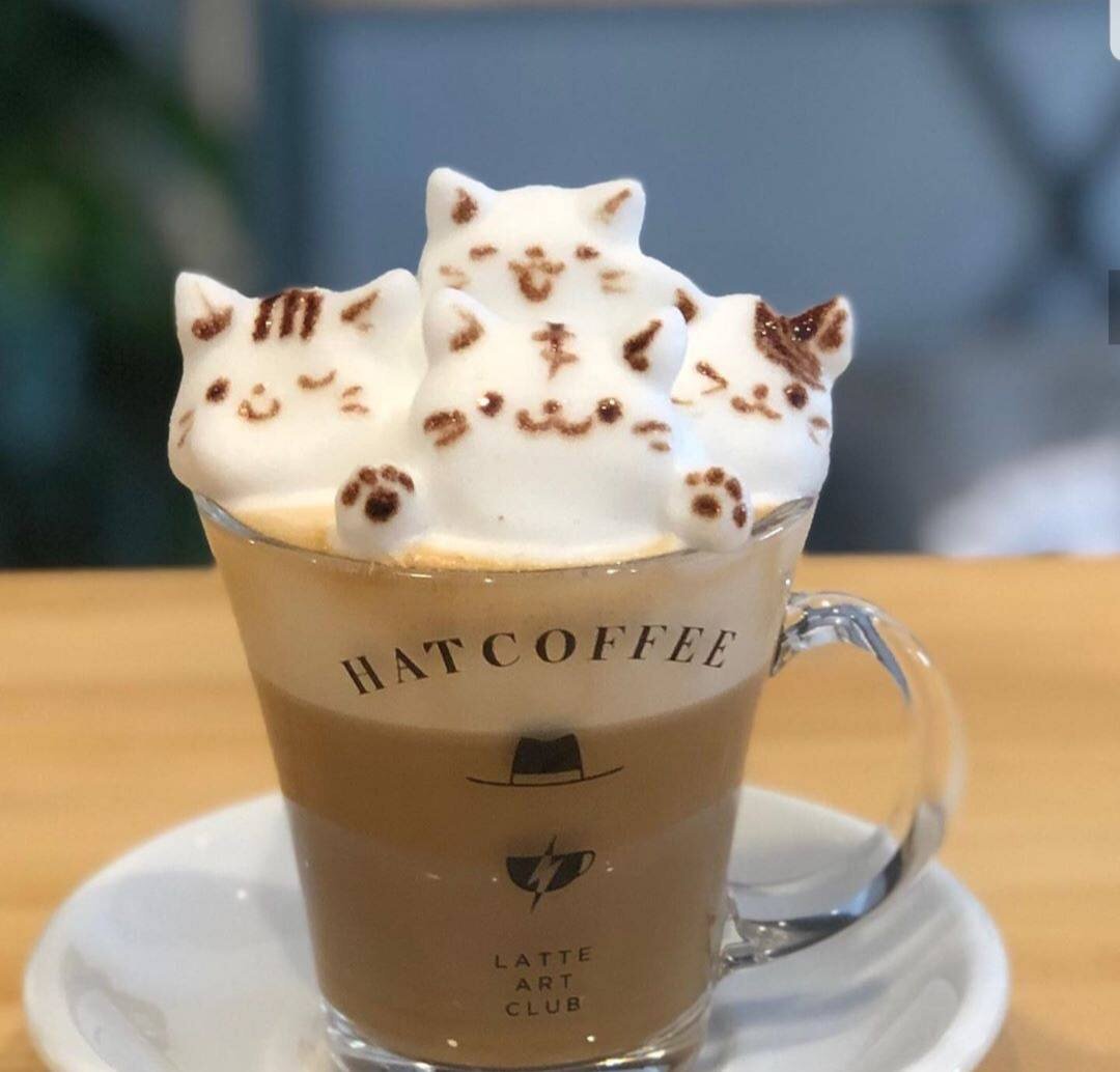 สายกาแฟถูกใจสิ่งนี้  HATCOFEE  น่าร้อกกกอ่ะ  สายกาแฟถูกใจสิ่งนี้  HATCOFEE  น่าร้อกกกอ่ะ