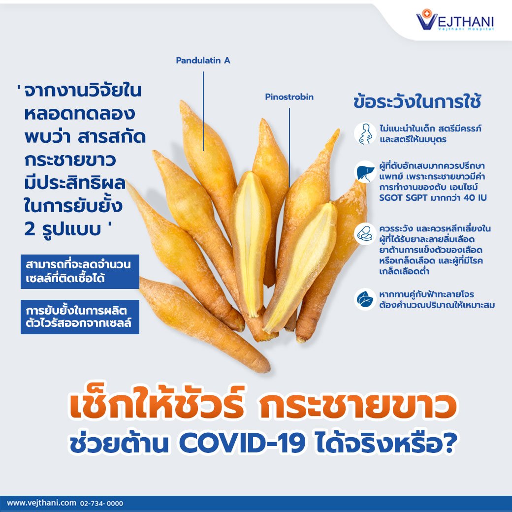 “กระชายขาว” ป้องกัน “โควิด-19” ได้หรือไม่? “กระชายขาว” ป้องกัน “โควิด-19” ได้หรือไม่?