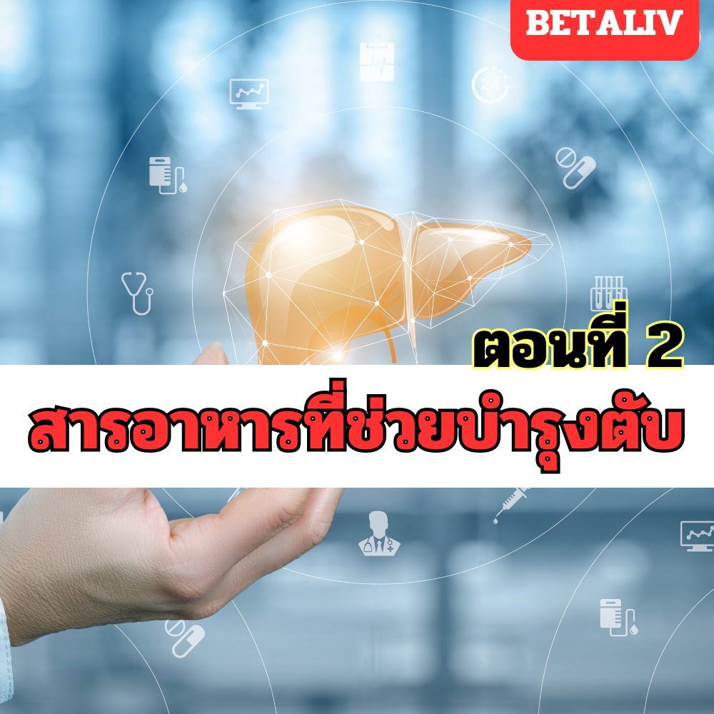 สารอาหารที่ช่วยบำรุงตับ ที่คุณอาจไม่เคยรู้ ตอนที่ 2  สารอาหารที่ช่วยบำรุงตับ ที่คุณอาจไม่เคยรู้ ตอนที่ 2