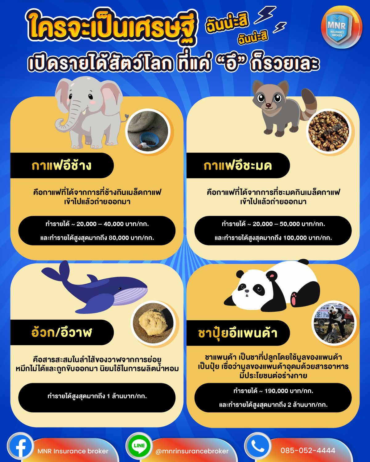 เปิดรายได้สัตว์โลก ที่แค่อึก็รวยเละ