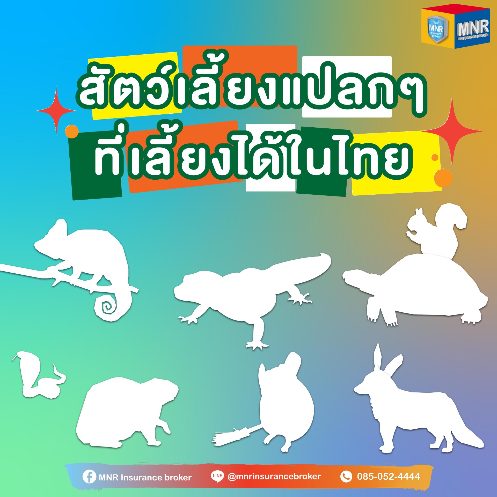 สัตว์เลี้ยงแปลกๆที่เลี้ยงได้ในไทย สัตว์เลี้ยงแปลกๆที่เลี้ยงได้ในไทย