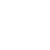 icons8-experience-100.png