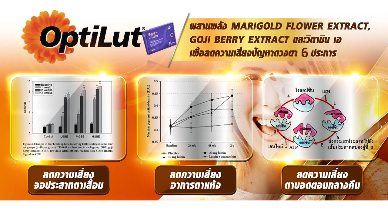 Optilut