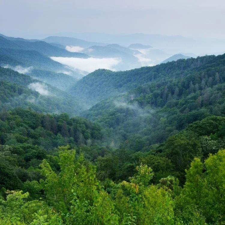 Khao Yai