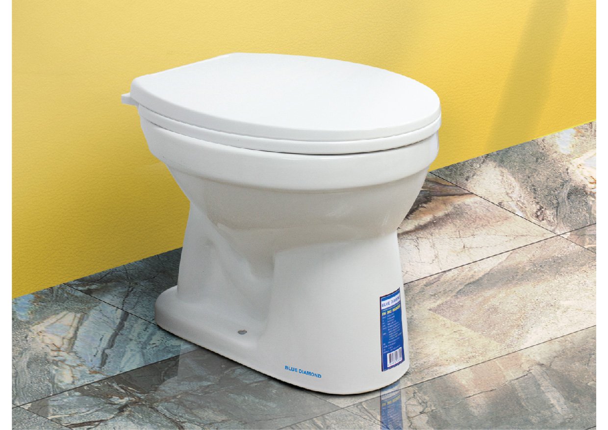 Hand Flush Toilet