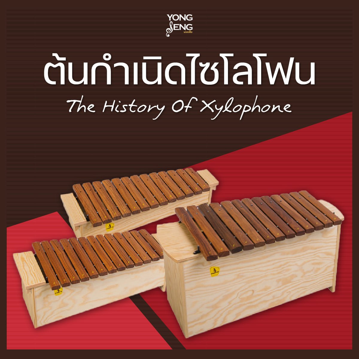 ต้นกำเนิดไซโลโฟน - yongsengmusical