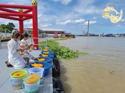 ปลาหน้าเขียงปลาวัดราชาธิวาส จัดส่ง โดย ปลาปล่อยสุขใจ เคส - 9670223