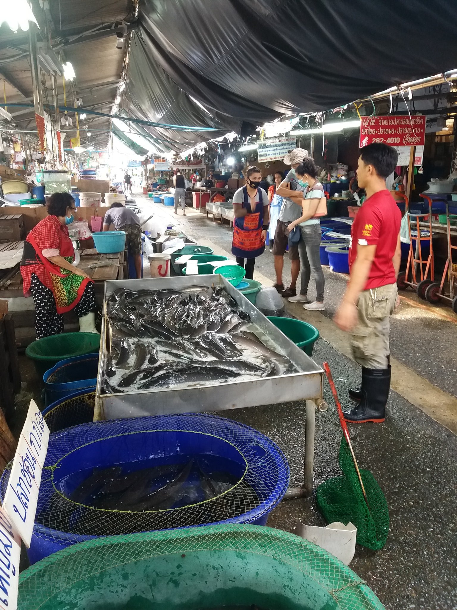 ช่วยชีวิตปลาหน้าเขียง คัดปลาเป็นสดๆ จากตลาดสดก่อนถูกฆ่า เพื่อต่อลมหายใจสุดท้ายให้เพื่อนร่วมโลก