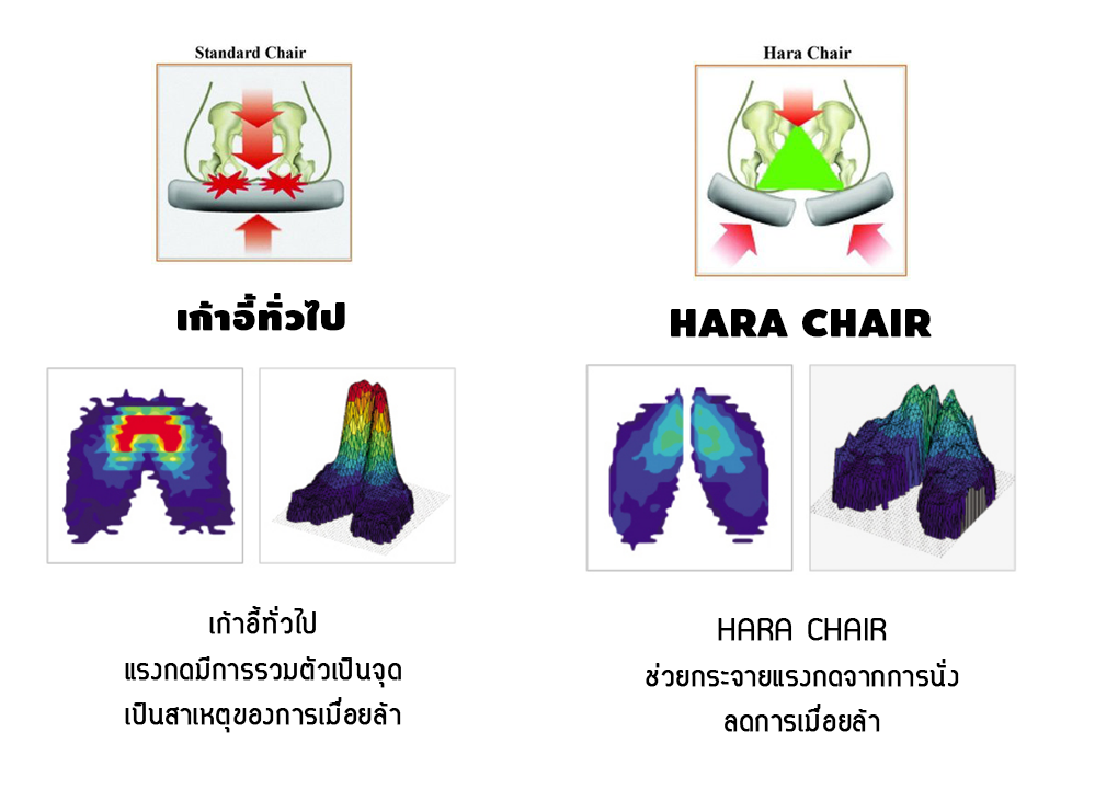 เก้าอี้เพื่อสุขภาพ hara chair 11