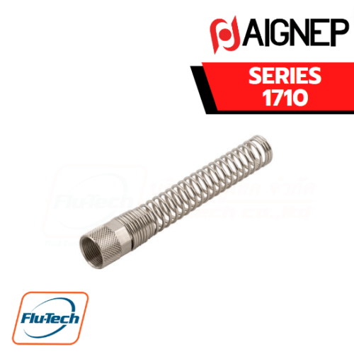 AIGNEP SERIES 1710 | LOCKING NUT WITH SPRING – STAINLESS STEEL