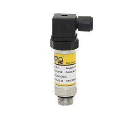 L702 Series Thread and Flange Mounting Submersible Pressure Transducer & Transmitters