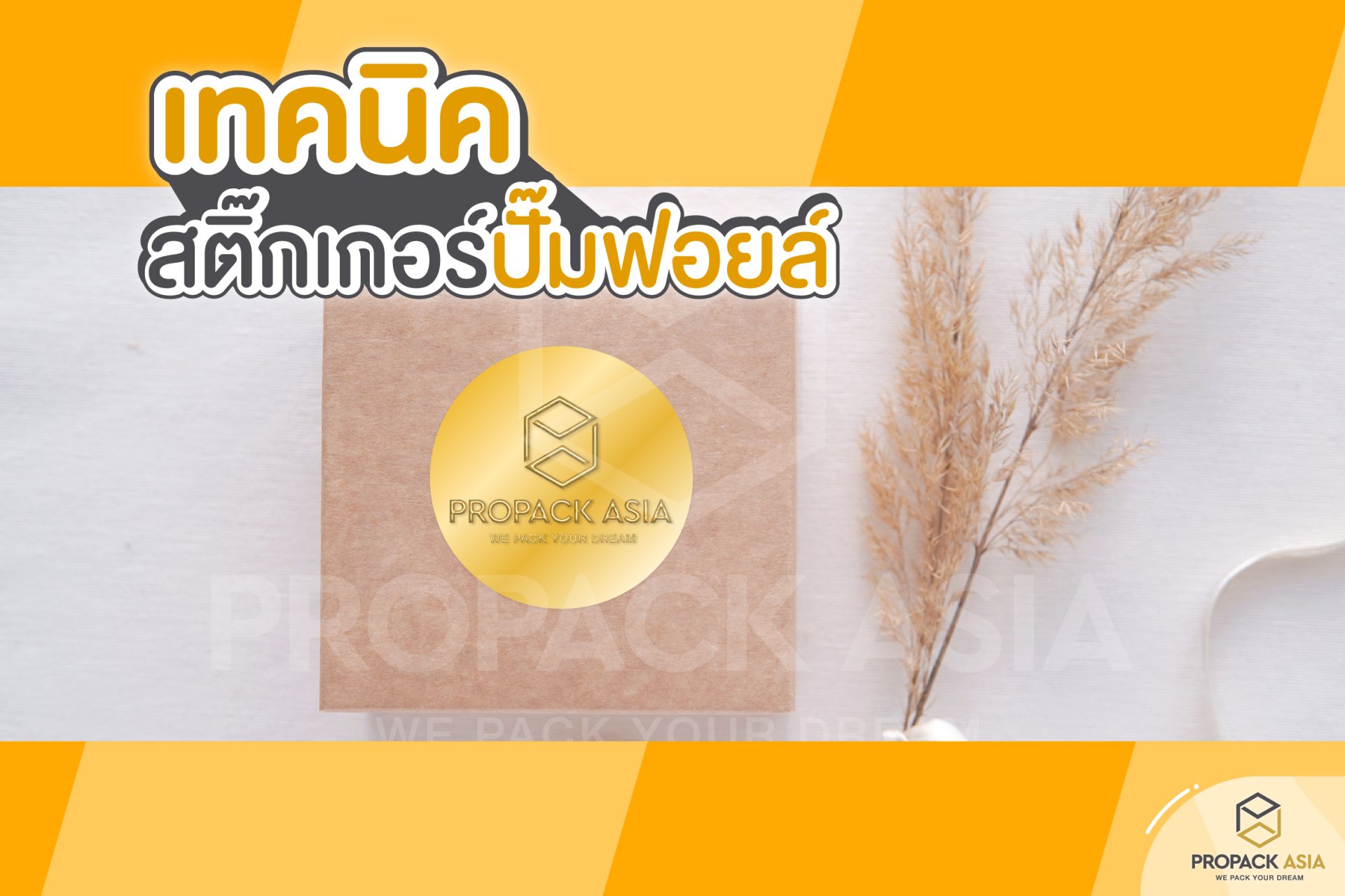 เทคนิคปั๊มฟอยด์