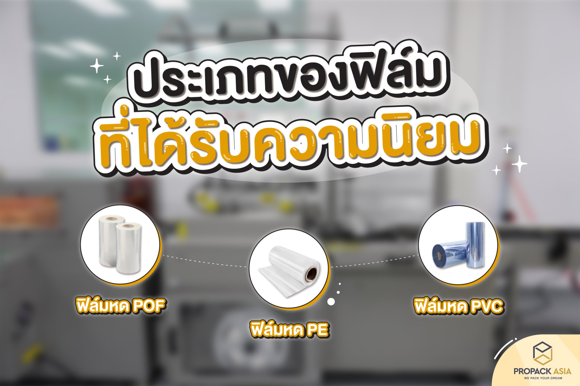 ประเภทของฟิล์มที่ได้รับความนิยม