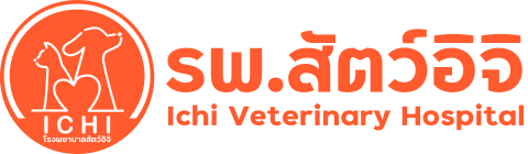 ichi vet hospital - horizontal logo