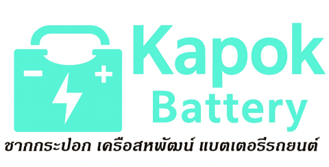 ชากกระปอก แบตเตอรี่รถยนต์ส่งฟรี