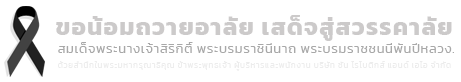 sunrobotics