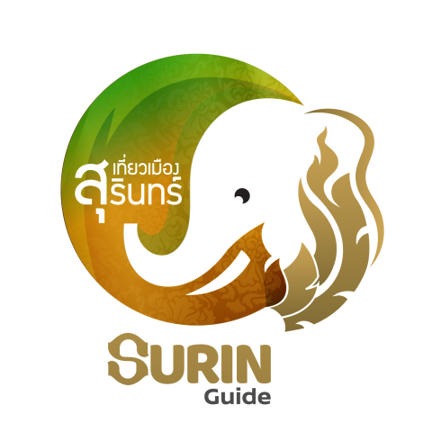 AMAZING SURINS ELEPHANT ROUND-UP 2025